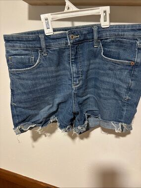Pilcro Blue Distressed Denim Shorts with Frayed Hem